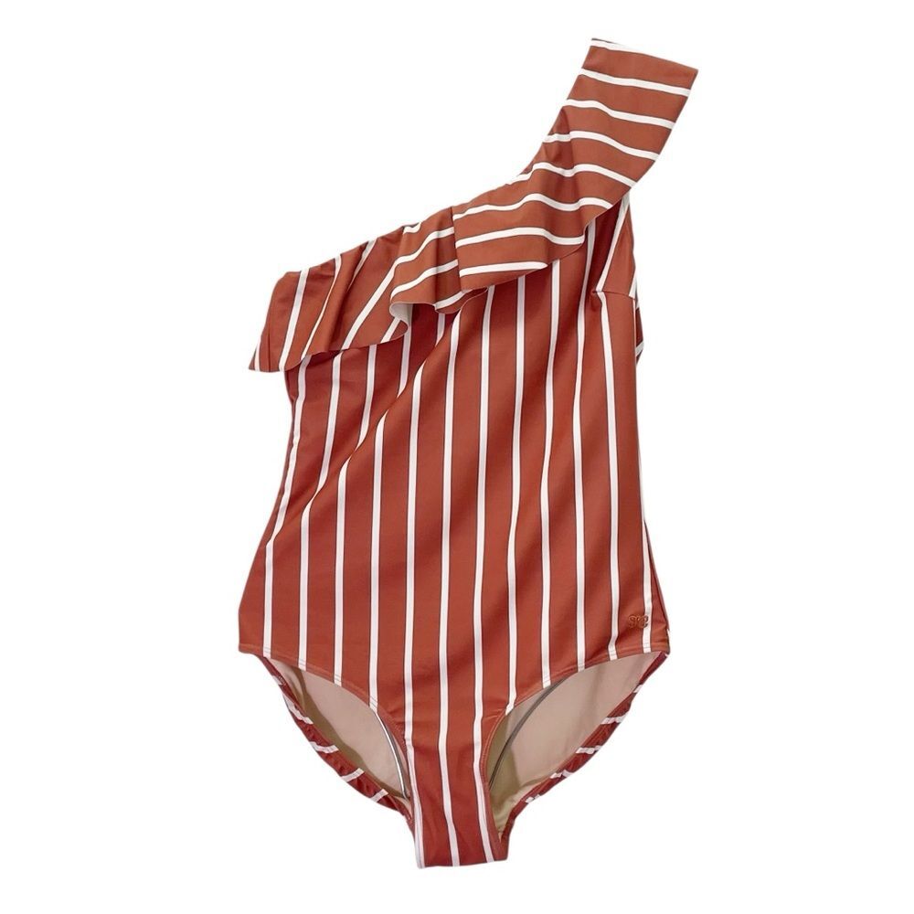 Albion Icon Wave Swimsuit One Shoulder Sydney Stripe Rust One Piece Size Large - Picture 2 of 16